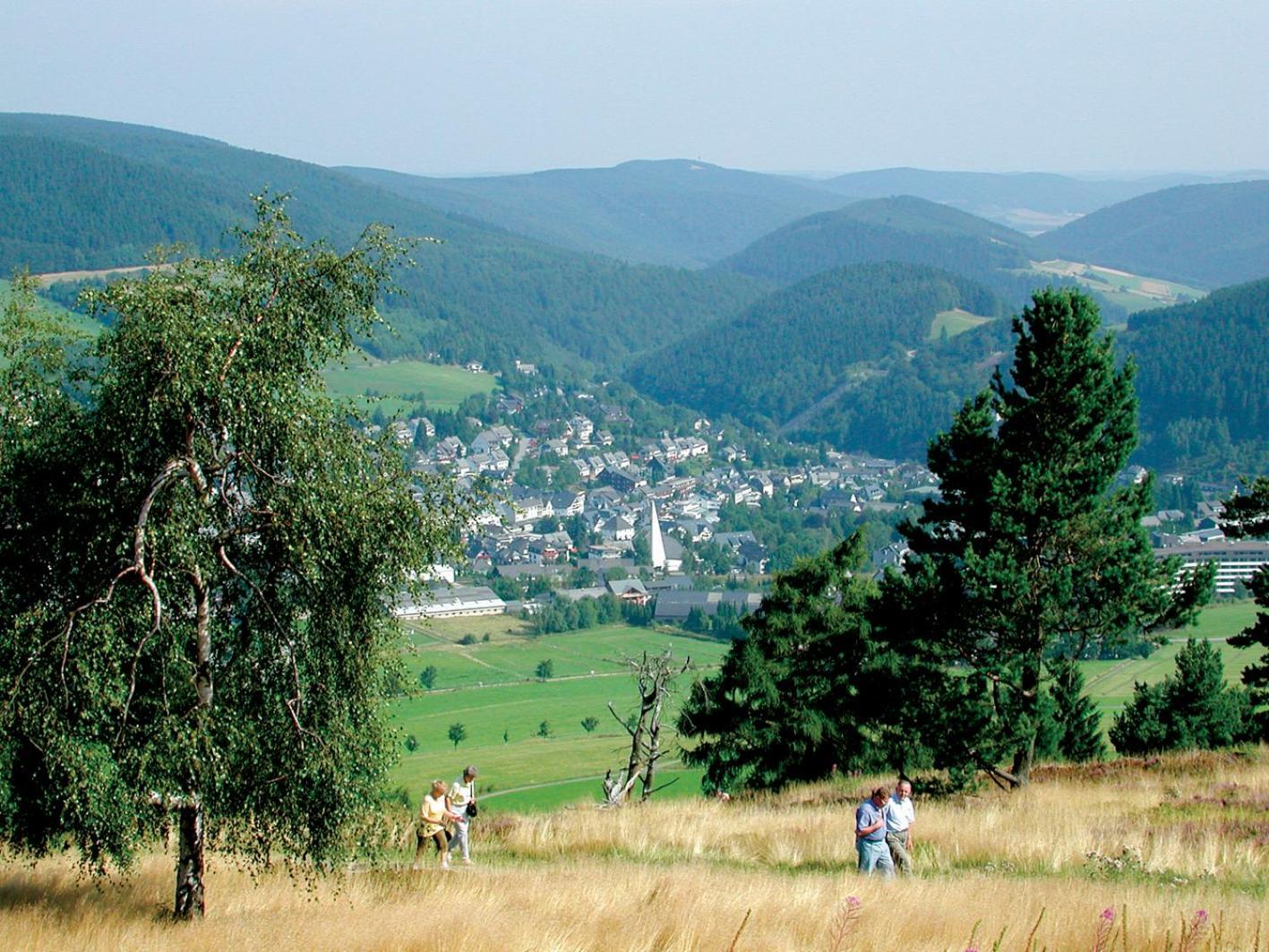 Komfort-Fewo Blickfang Willingen*** Willingen  Exterior foto